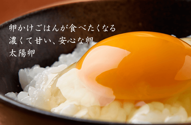 卵通販 卵販売は九州長崎に養鶏場を持つ落水正商店の高級卵
