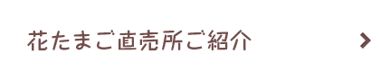 花たまご直売所 おいしい卵の直売店舗は九州長崎の花たまご