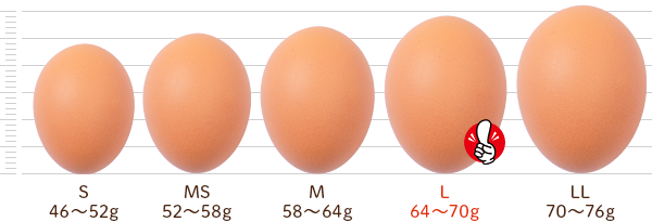 送料無料「業務用卵」Lサイズ80個入り 4,480円 太陽卵赤玉