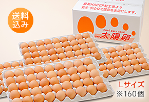 送料無料「業務用卵」Lサイズ160個入り 7,960円 太陽卵赤玉