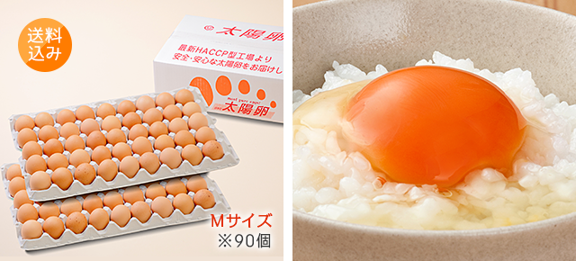 送料無料「業務用卵」Mサイズ90個入り 4,480円 太陽卵赤玉