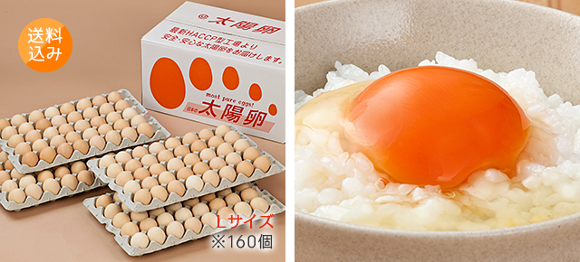 送料無料「業務用卵」Lサイズ160個入り 5,960円 太陽卵ピンク玉